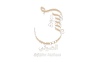 التأثير الضوئي